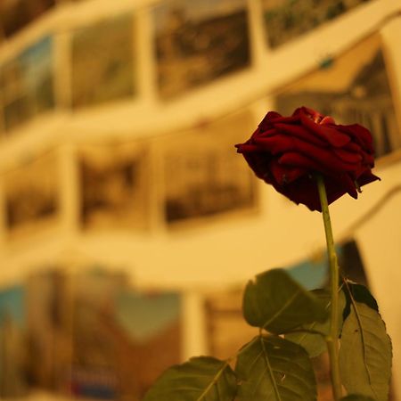 Moosica Hostel Тбилиси Экстерьер фото