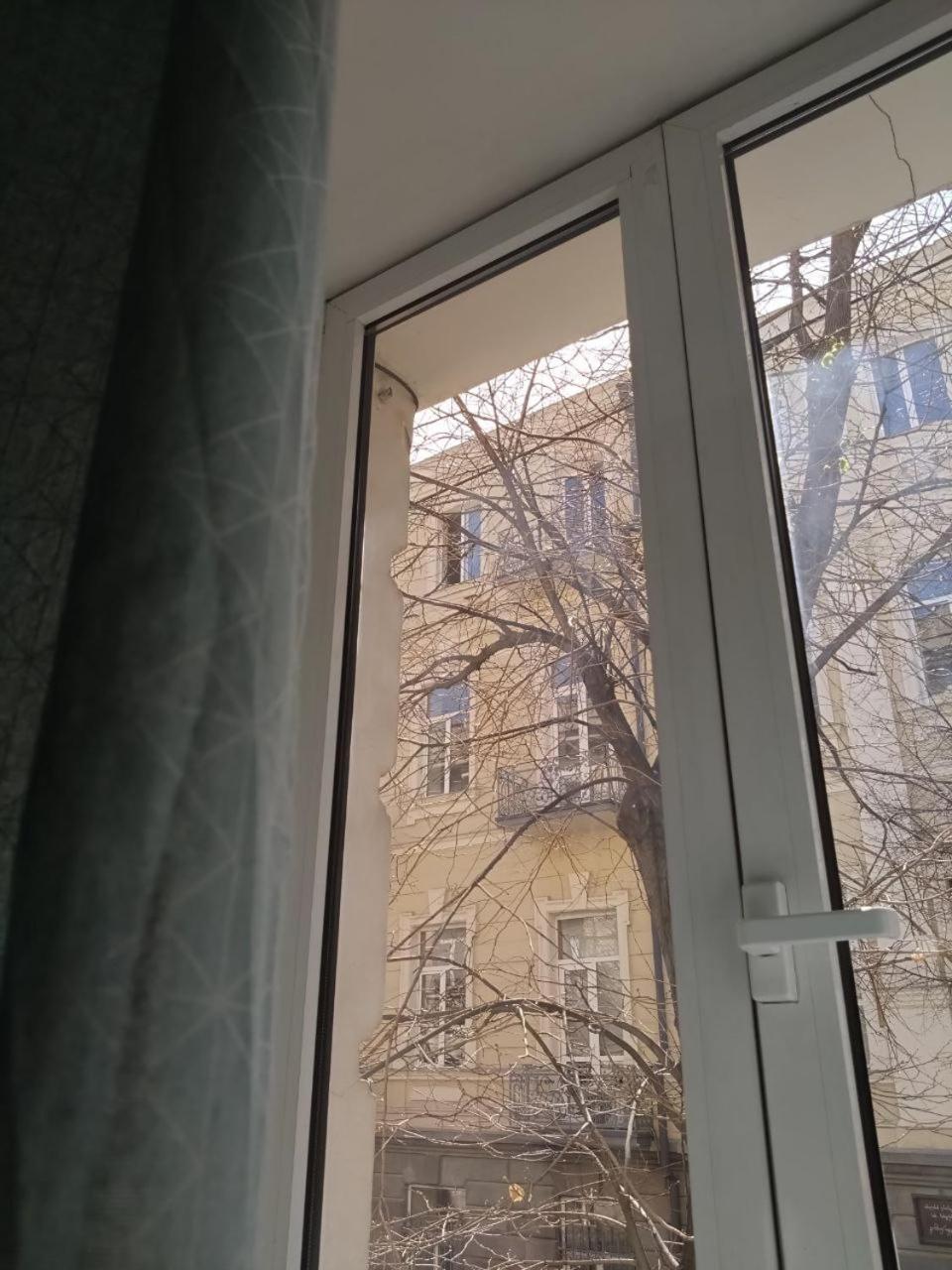 Moosica Hostel Тбилиси Экстерьер фото